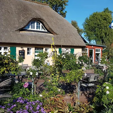 Rosengarten Zingst