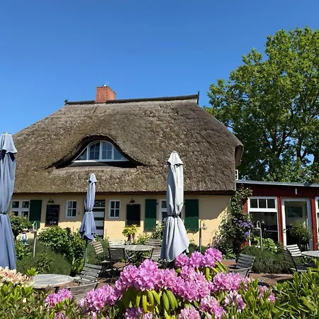 Rosengarten Apartment Zingst